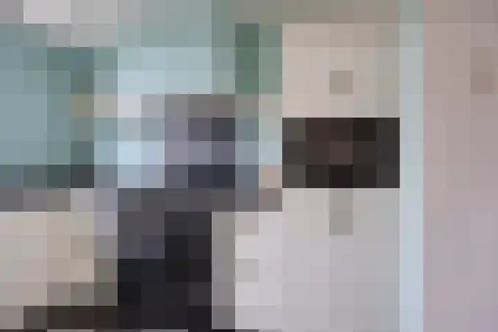 Goudplevier 151 Oss thumbnail 7