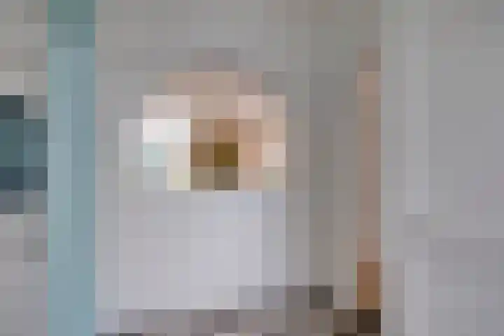 Goudplevier 151 Oss thumbnail 8