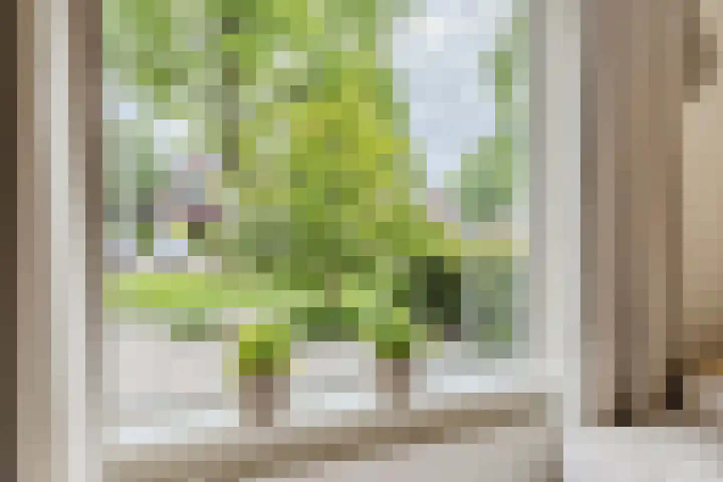 Goudplevier 17 Bodegraven thumbnail 14