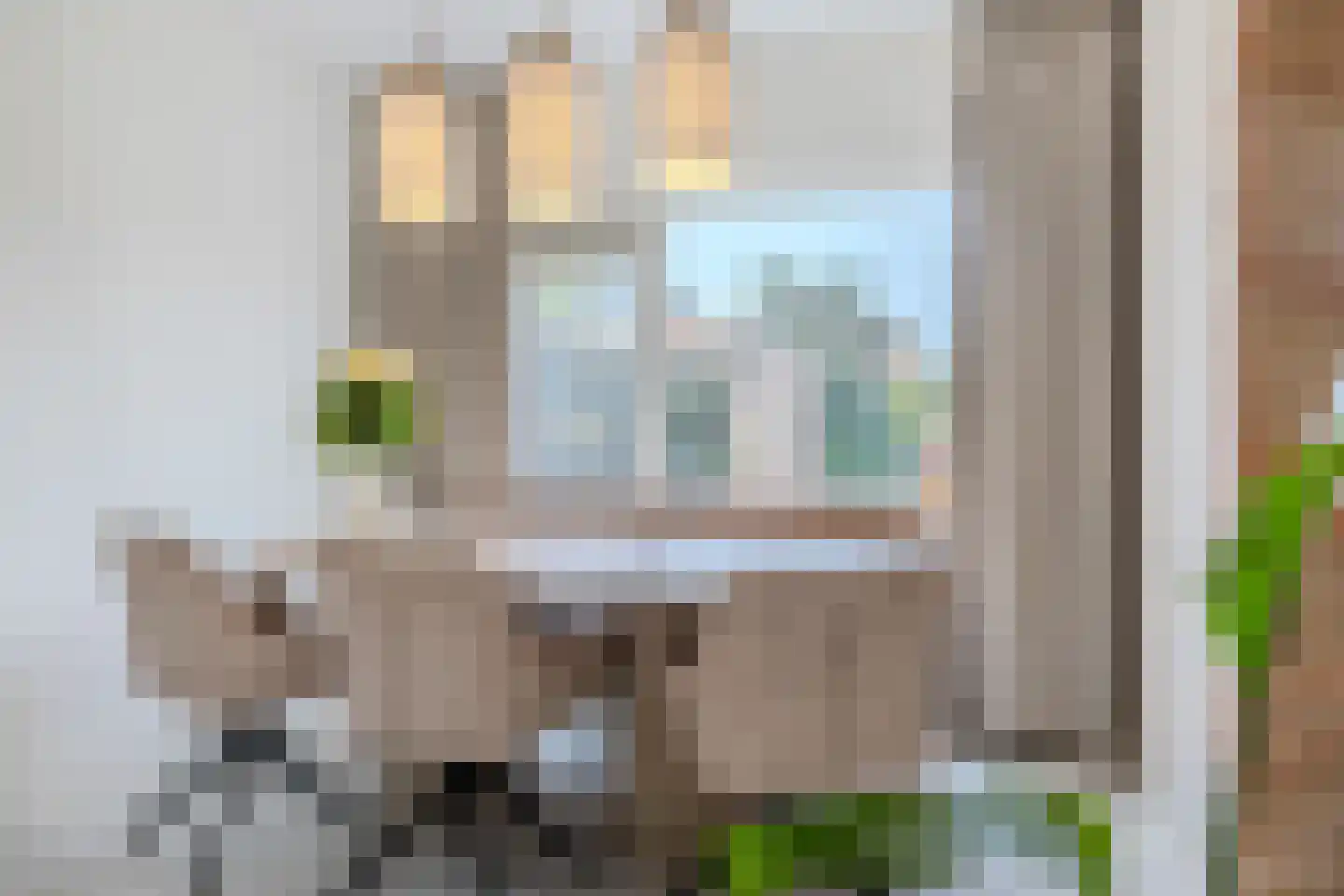Goudplevier 17 Bodegraven thumbnail 18