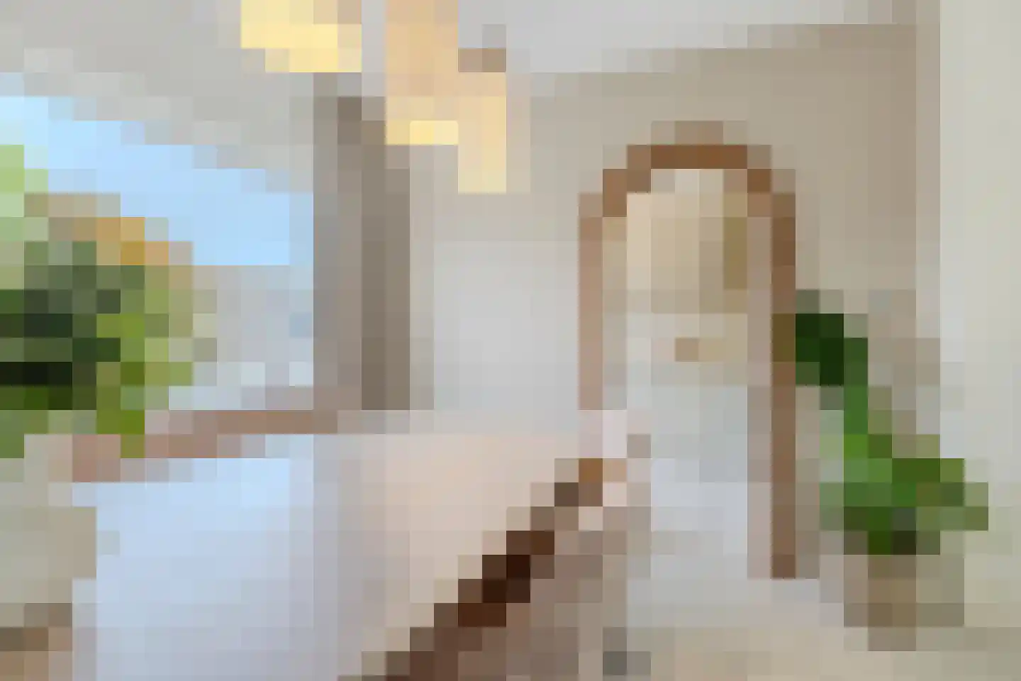 Goudplevier 17 Bodegraven thumbnail 20