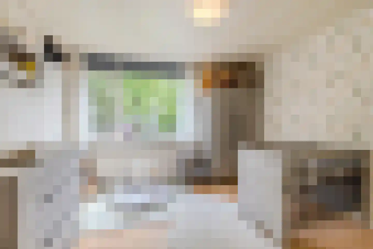 Goudplevier 17 Bodegraven thumbnail 24