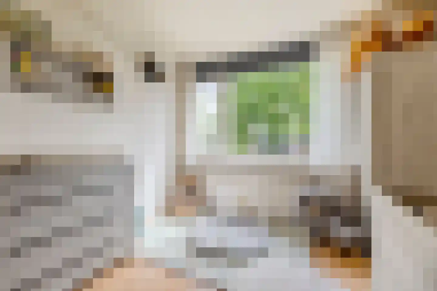 Goudplevier 17 Bodegraven thumbnail 25