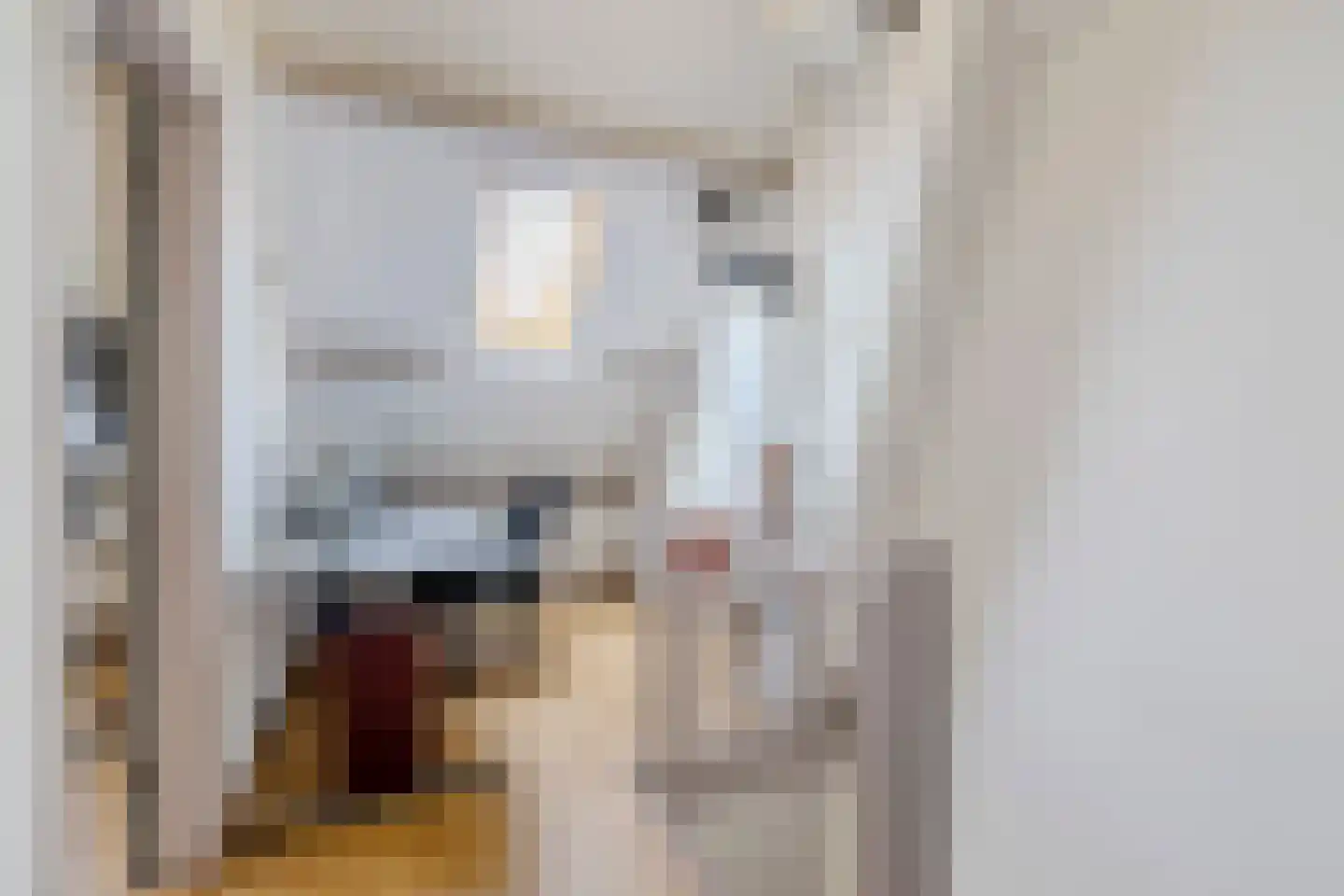 Goudplevier 17 Bodegraven thumbnail 33