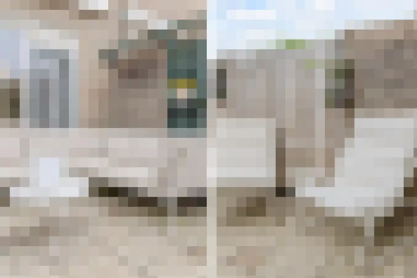 Goudplevier 17 Bodegraven thumbnail 35