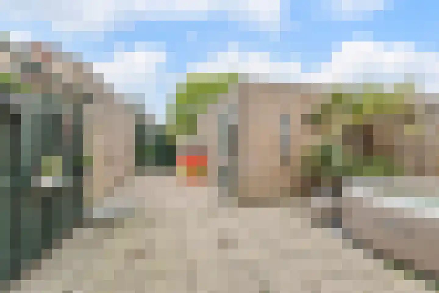 Goudplevier 17 Bodegraven thumbnail 38