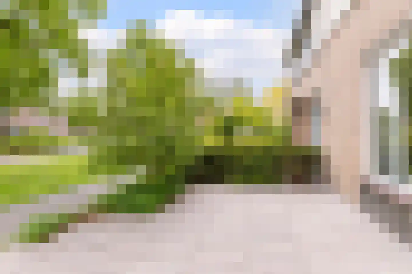 Goudplevier 17 Bodegraven thumbnail 41