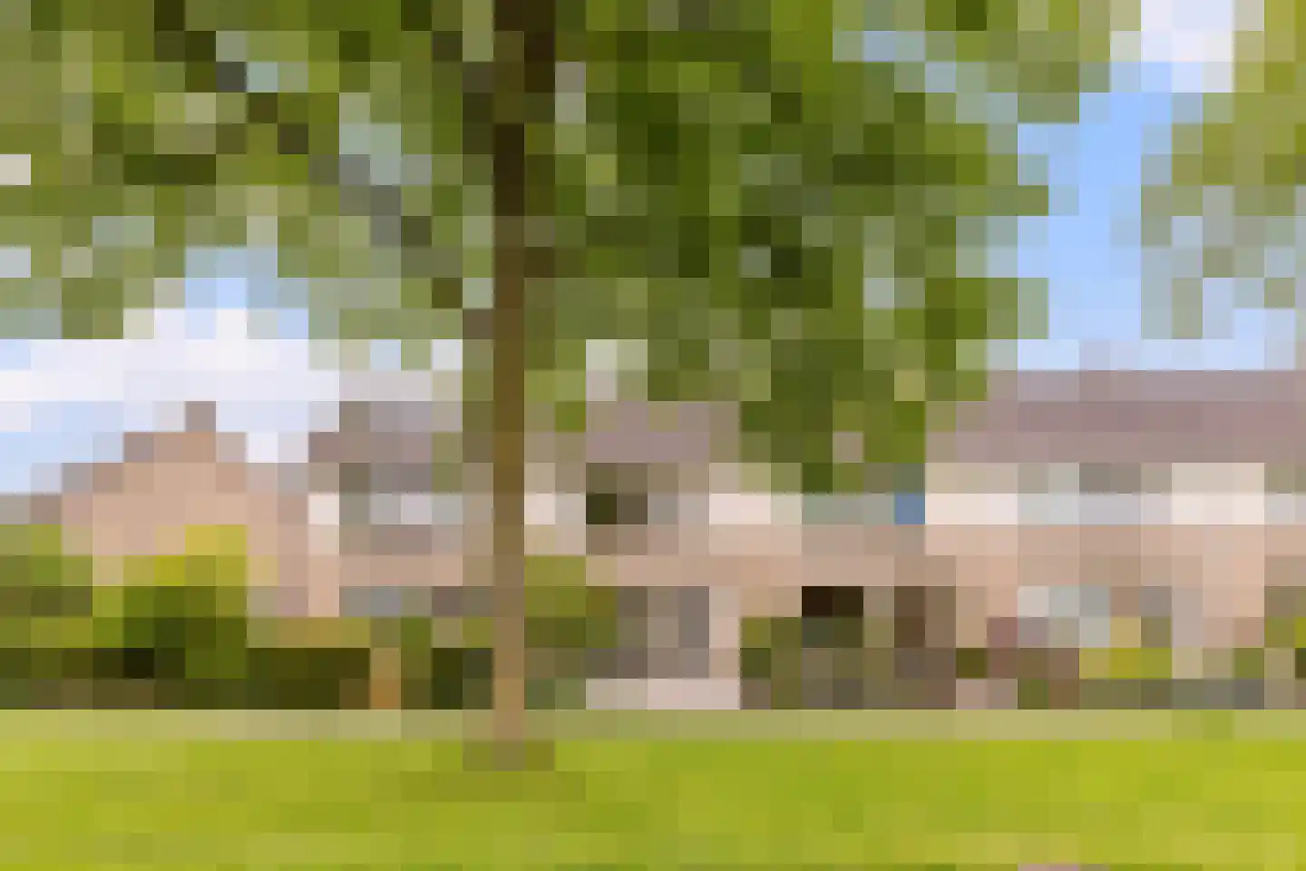 Goudplevier 17 Bodegraven thumbnail 42