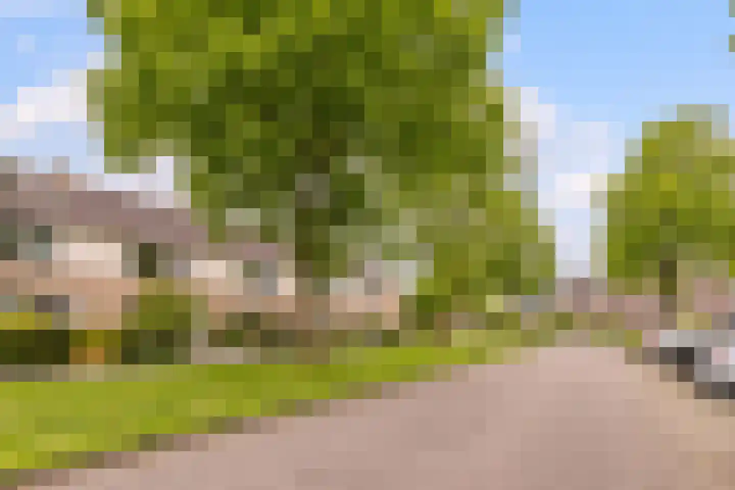 Goudplevier 17 Bodegraven thumbnail 43