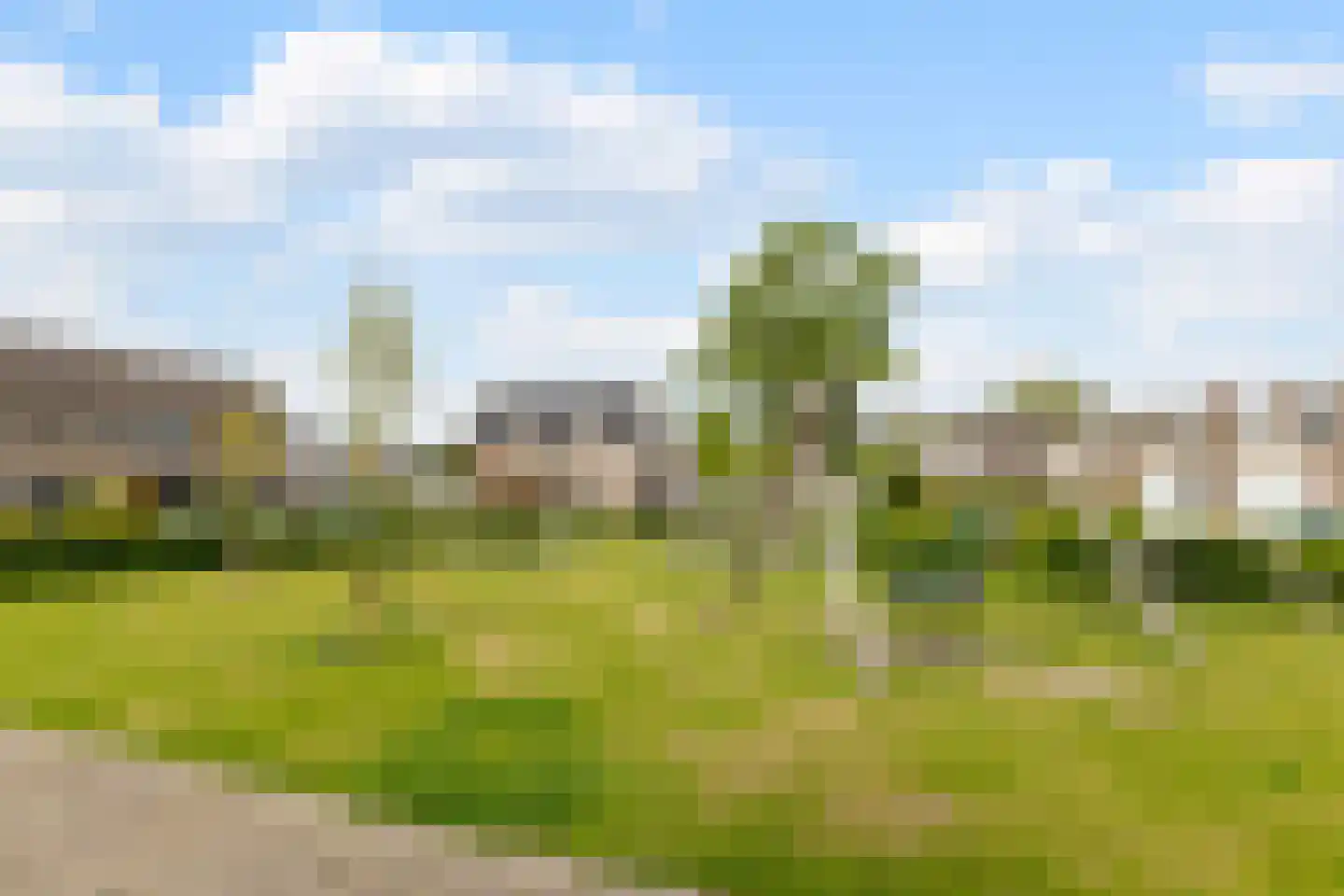 Goudplevier 17 Bodegraven thumbnail 44