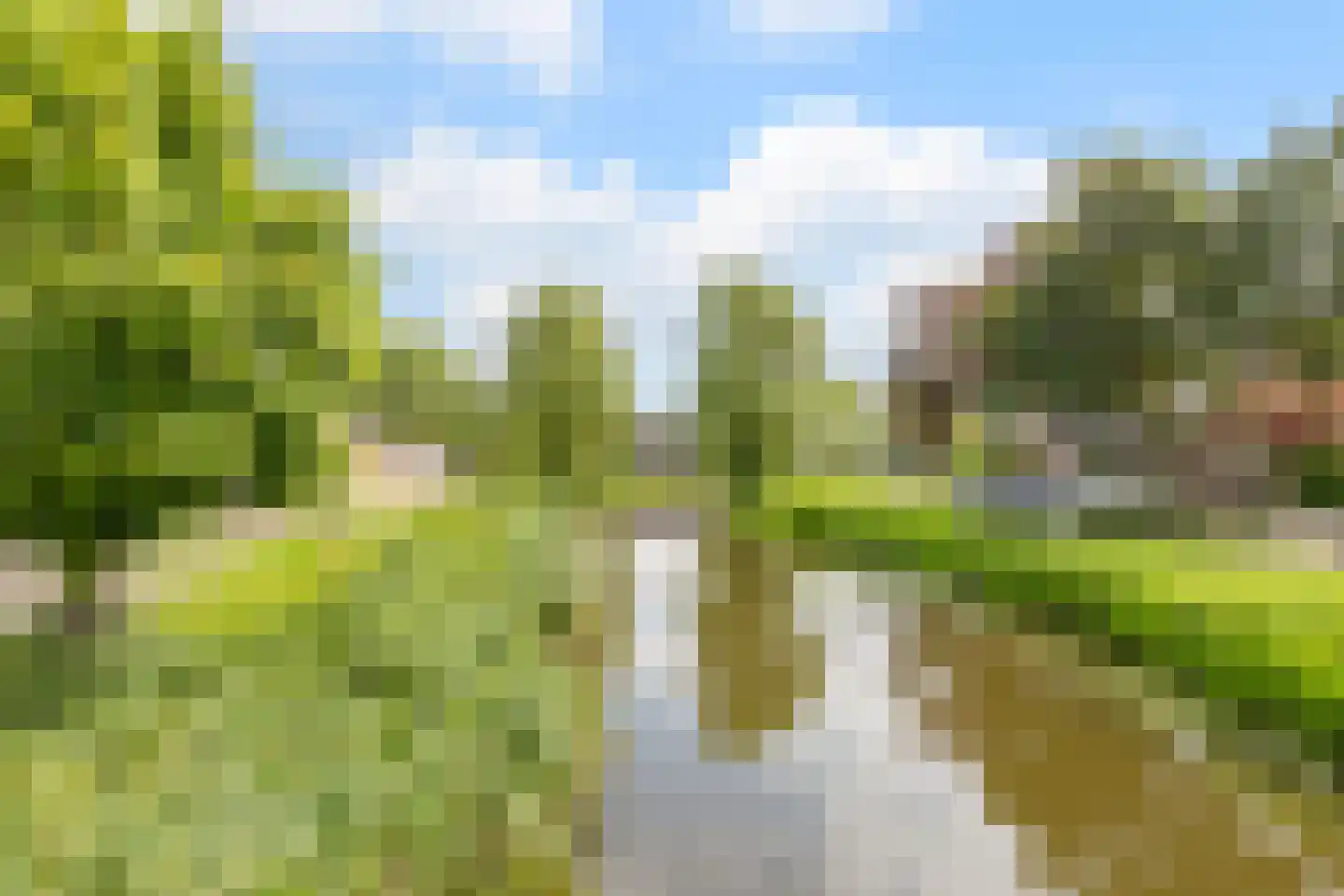 Goudplevier 17 Bodegraven thumbnail 45