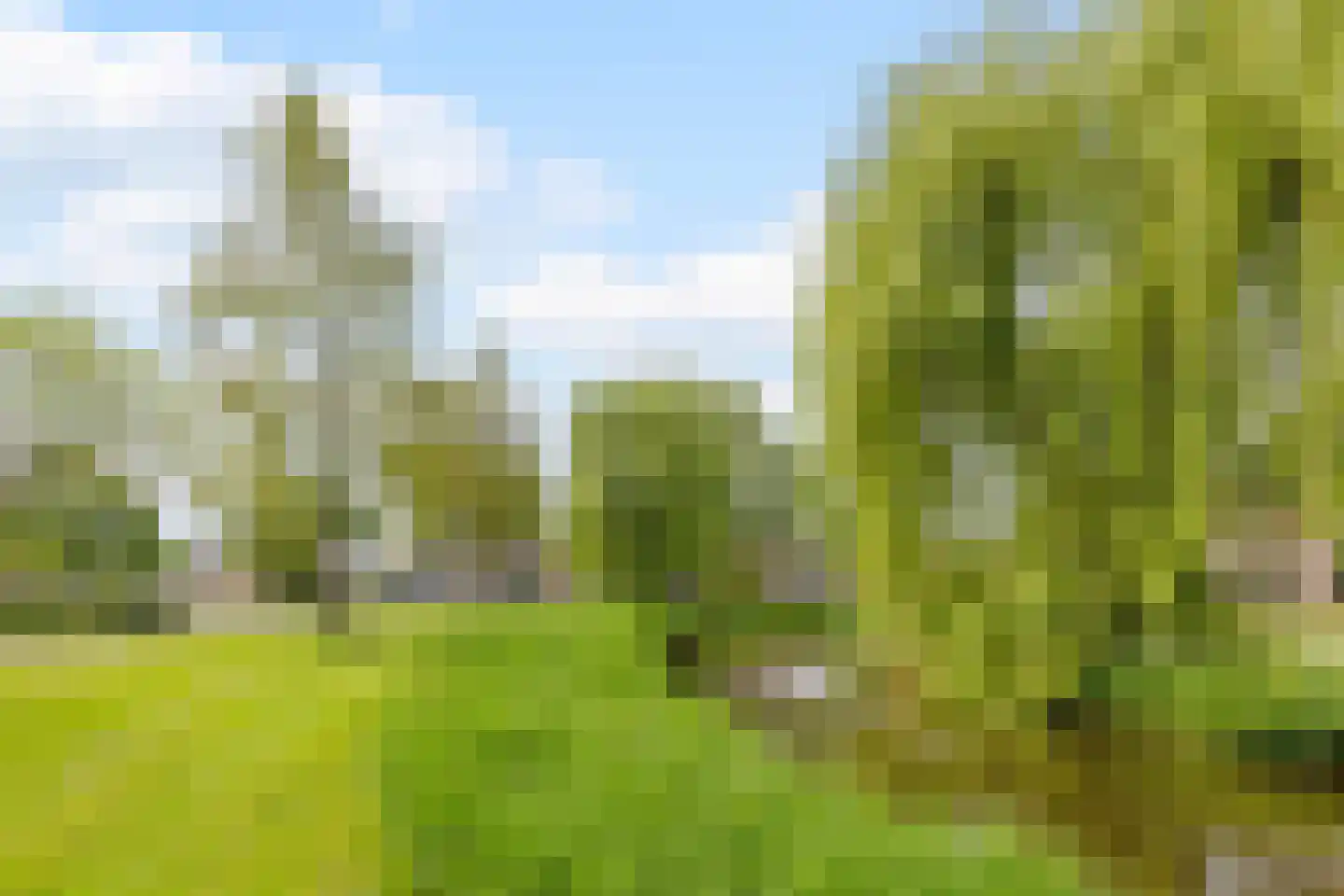 Goudplevier 17 Bodegraven thumbnail 46