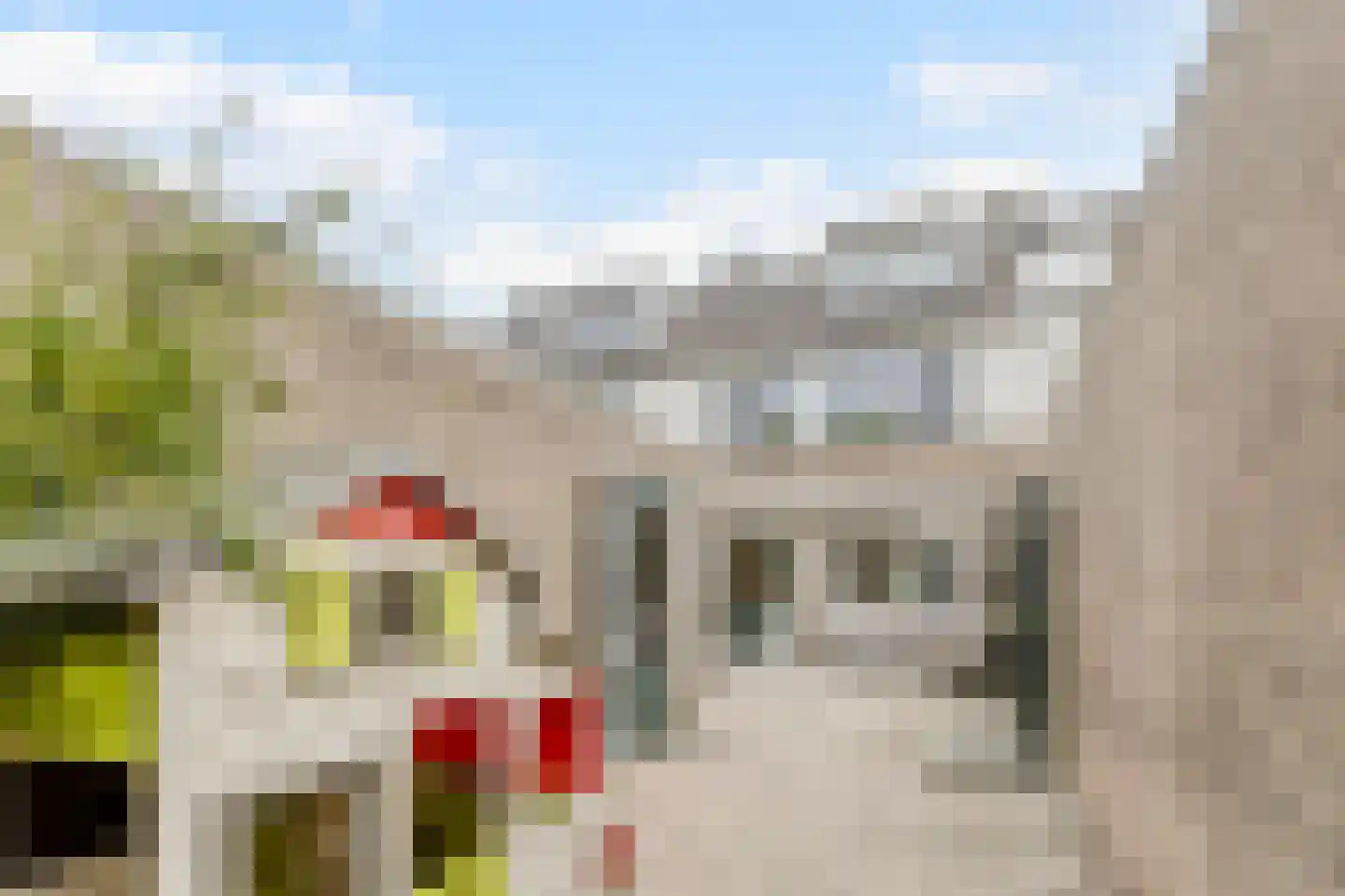 Goudplevier 17 Bodegraven thumbnail 6