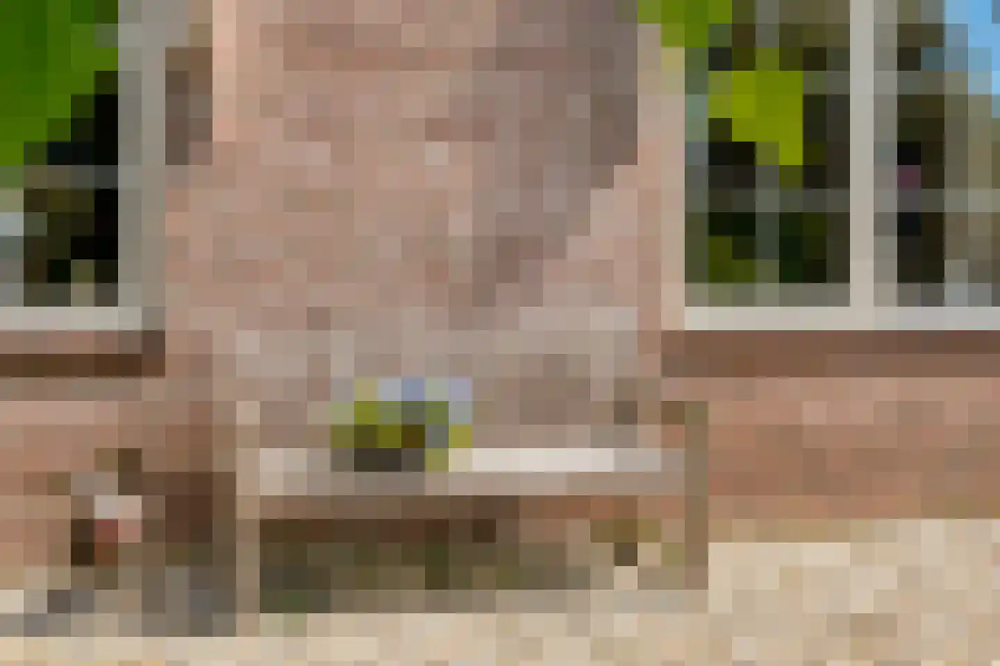 Goudplevier 2 Raalte thumbnail 10