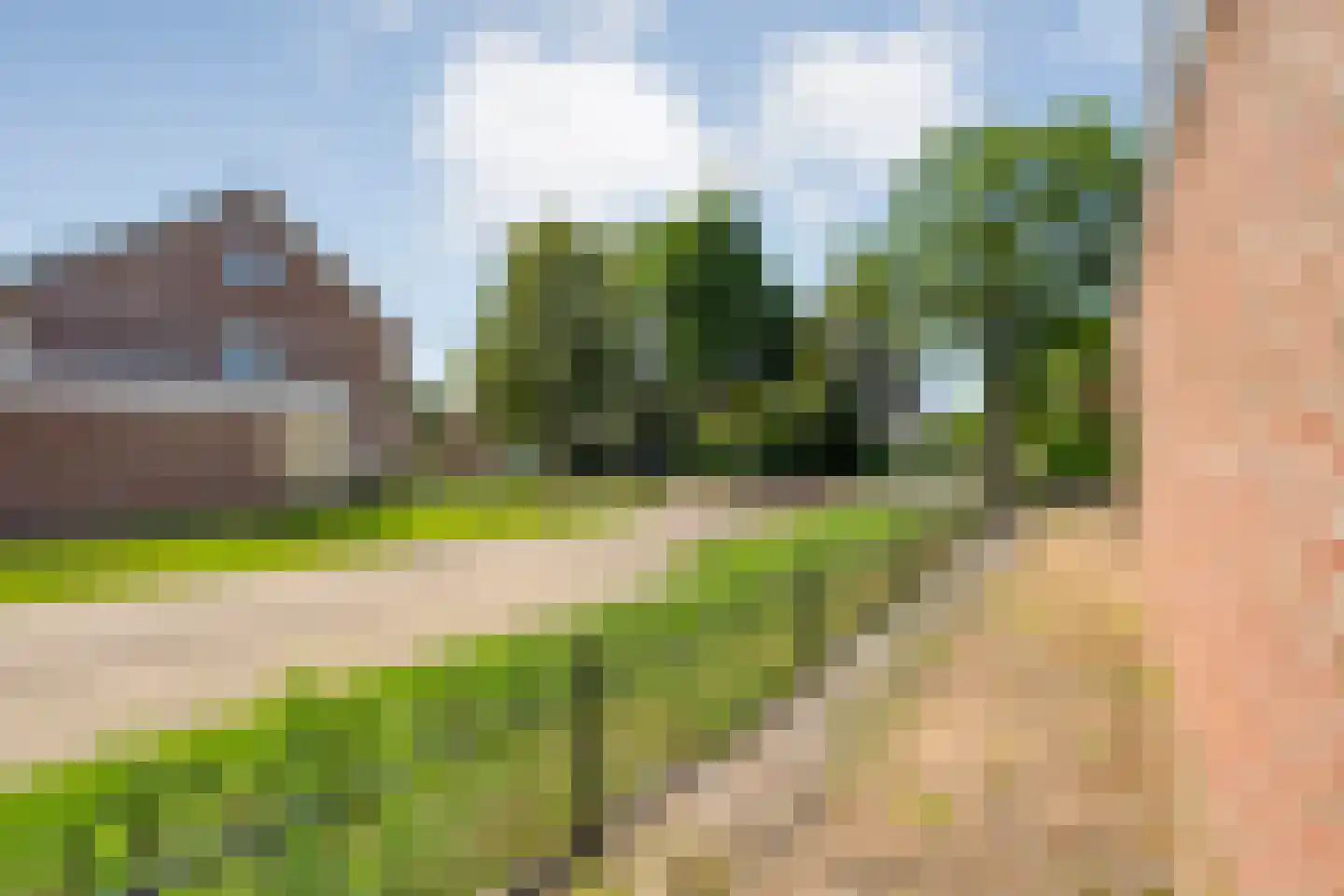 Goudplevier 2 Raalte thumbnail 13
