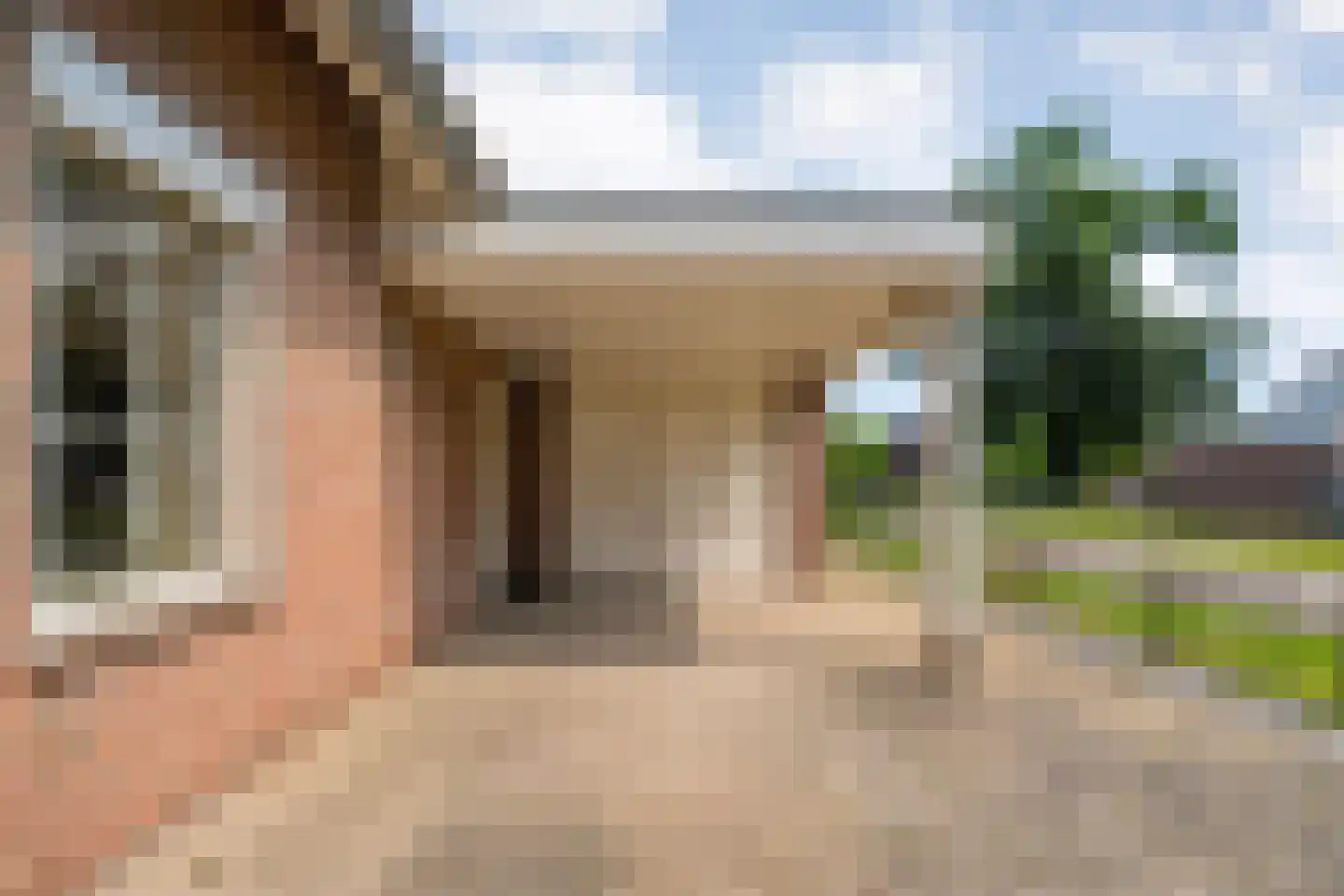 Goudplevier 2 Raalte thumbnail 14