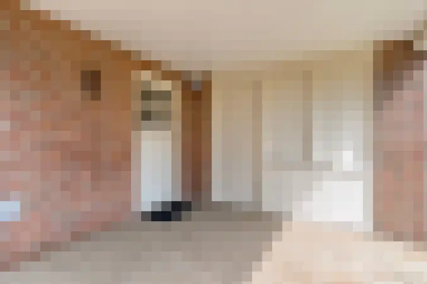 Goudplevier 2 Raalte thumbnail 15