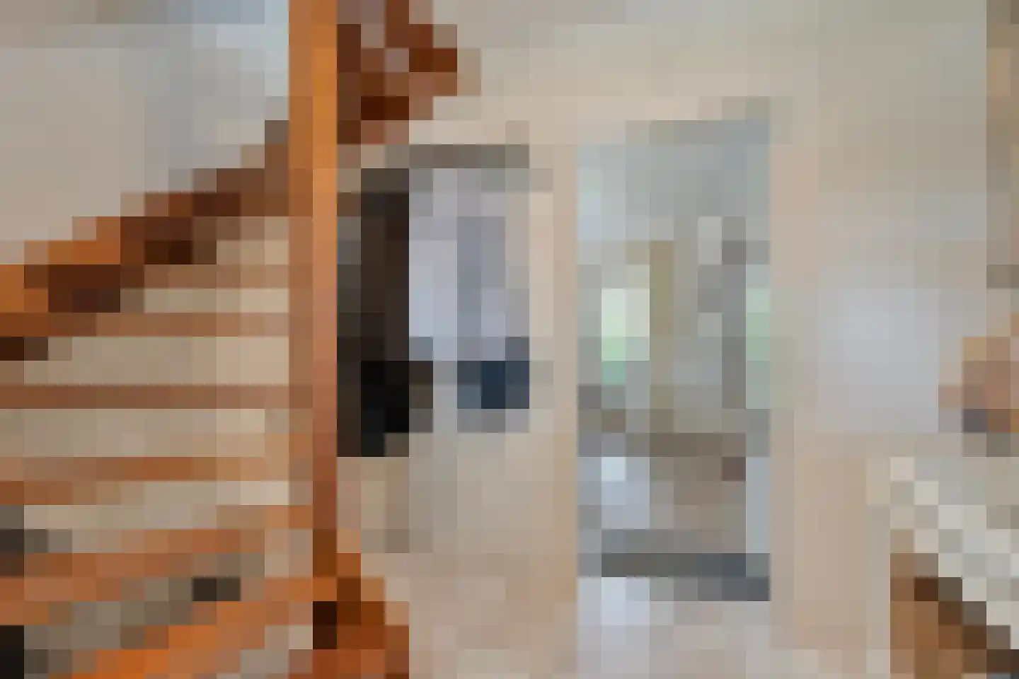 Goudplevier 2 Raalte thumbnail 17