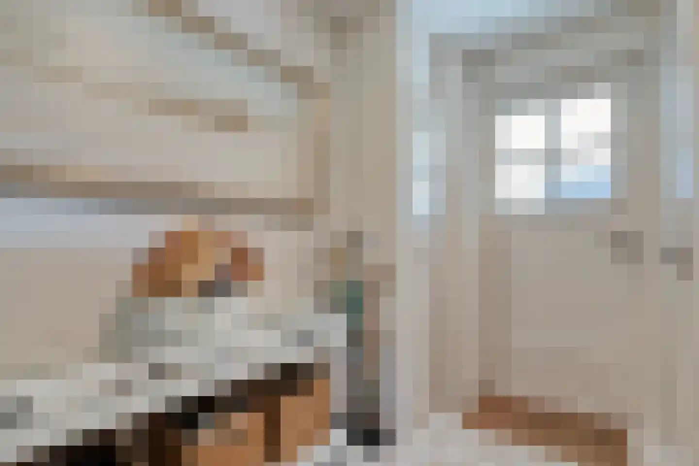 Goudplevier 2 Raalte thumbnail 18