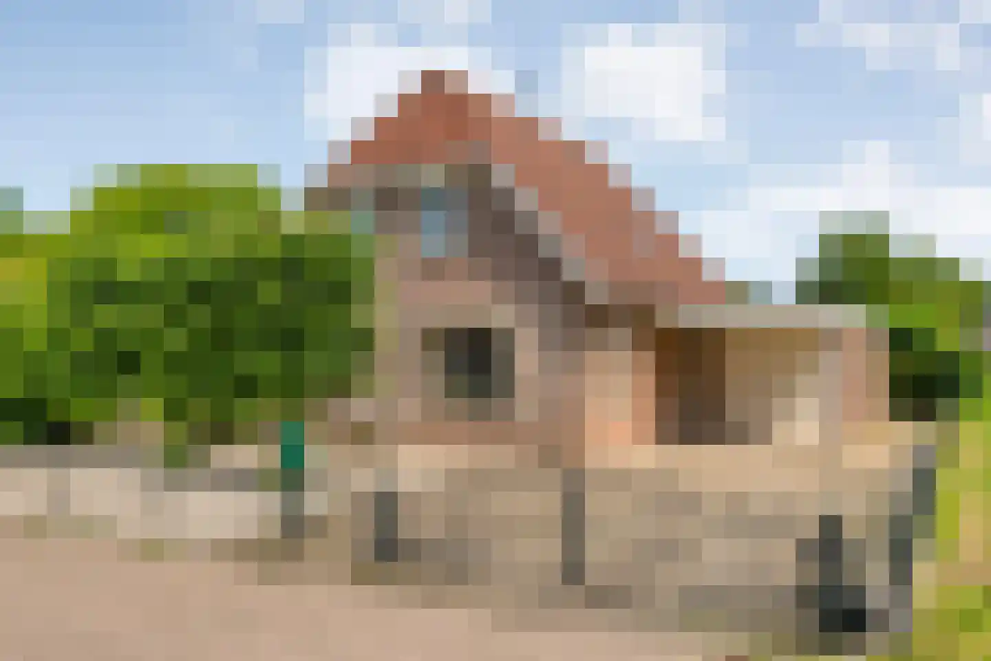 Goudplevier 2 Raalte foto 2