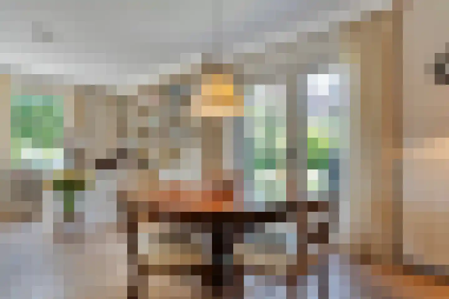 Goudplevier 2 Raalte thumbnail 20
