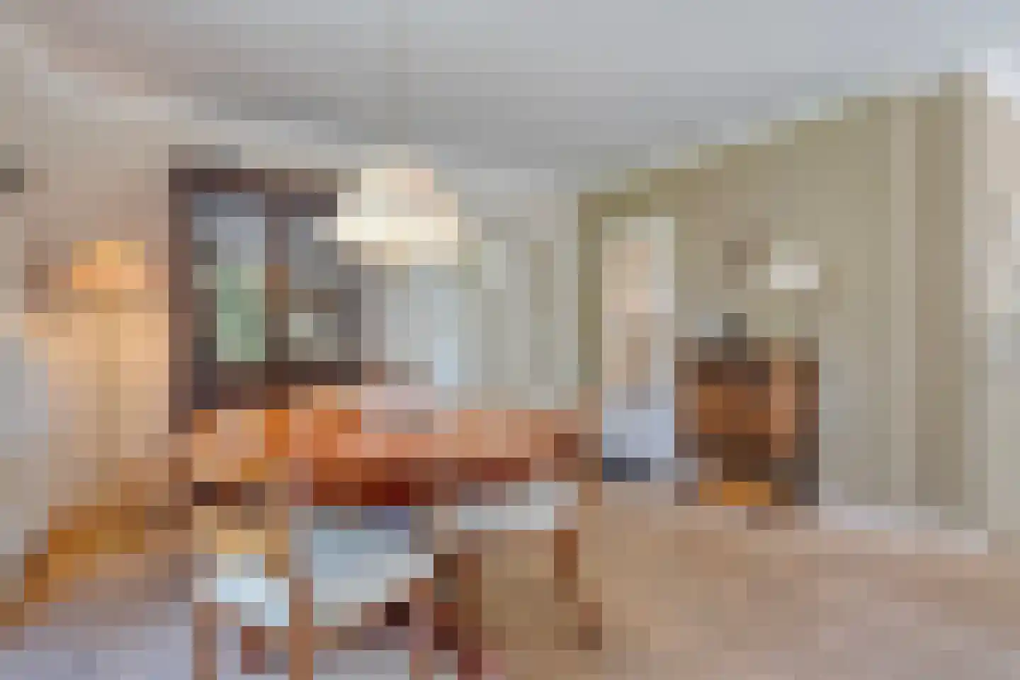 Goudplevier 2 Raalte thumbnail 22