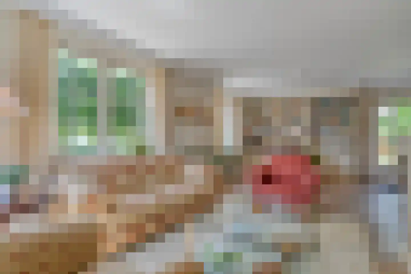 Goudplevier 2 Raalte thumbnail 24