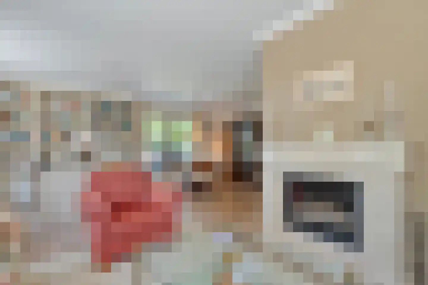 Goudplevier 2 Raalte thumbnail 25