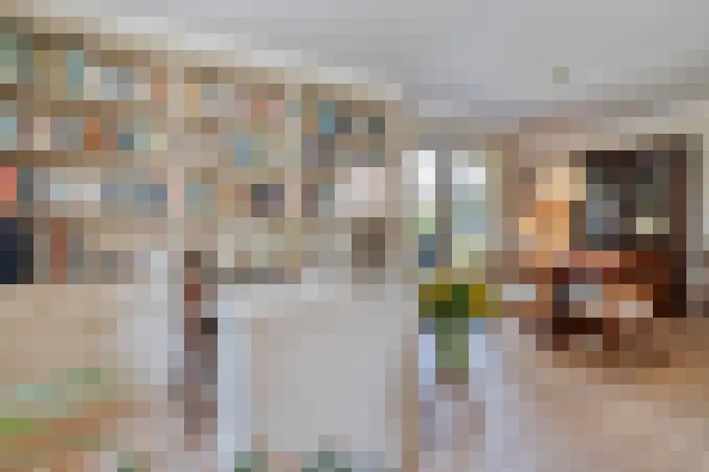 Goudplevier 2 Raalte thumbnail 27