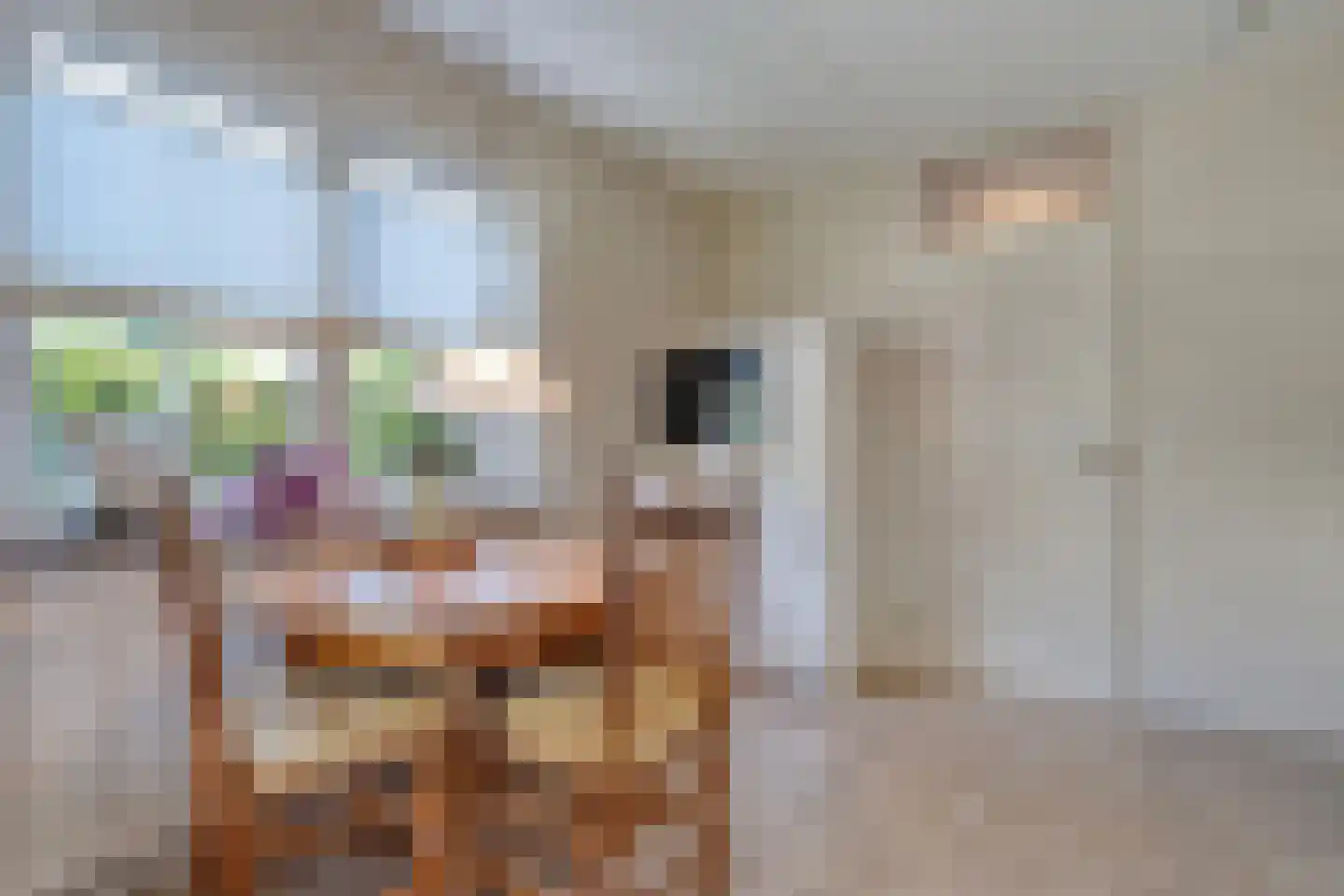 Goudplevier 2 Raalte thumbnail 30