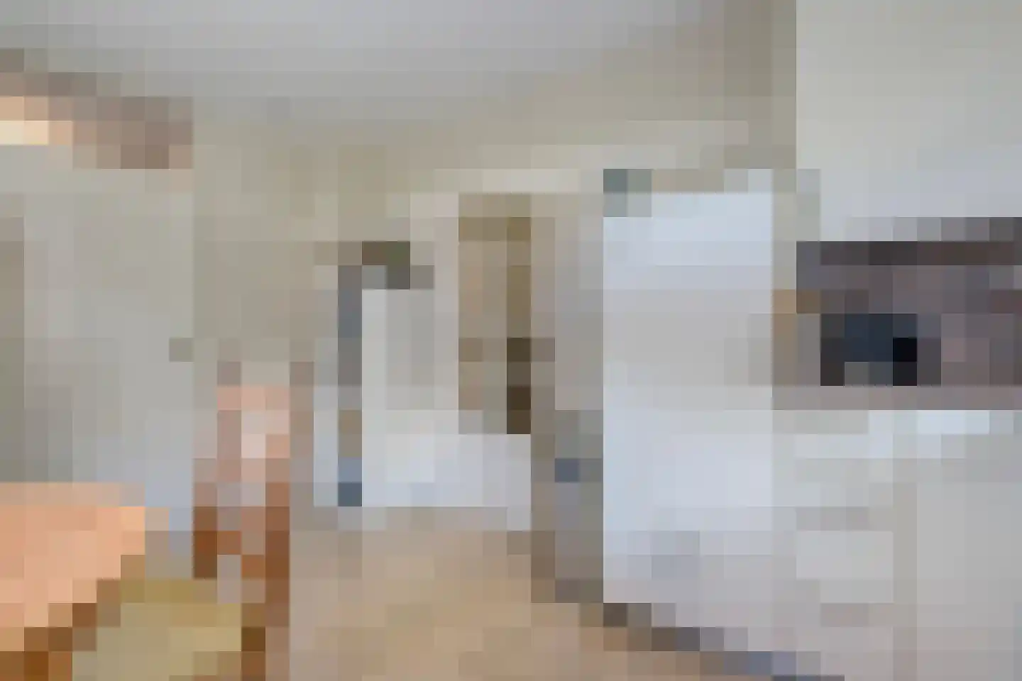 Goudplevier 2 Raalte thumbnail 31