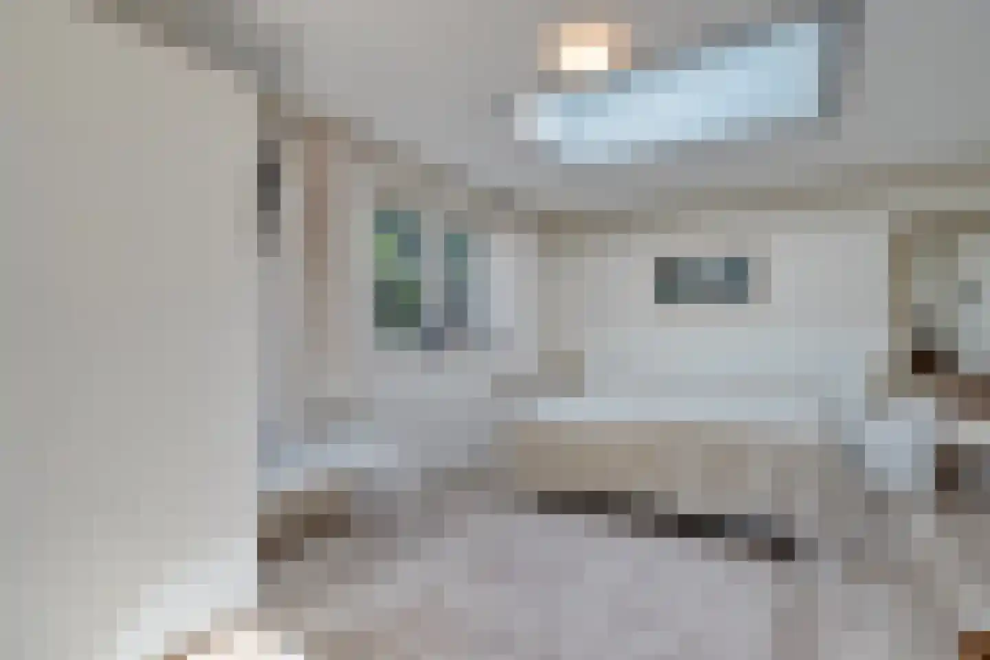 Goudplevier 2 Raalte thumbnail 33