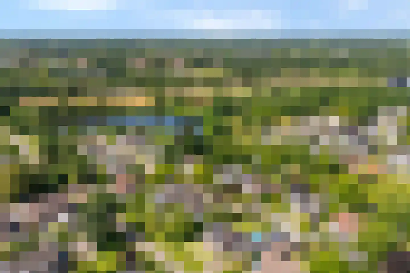 Goudplevier 2 Raalte thumbnail 4