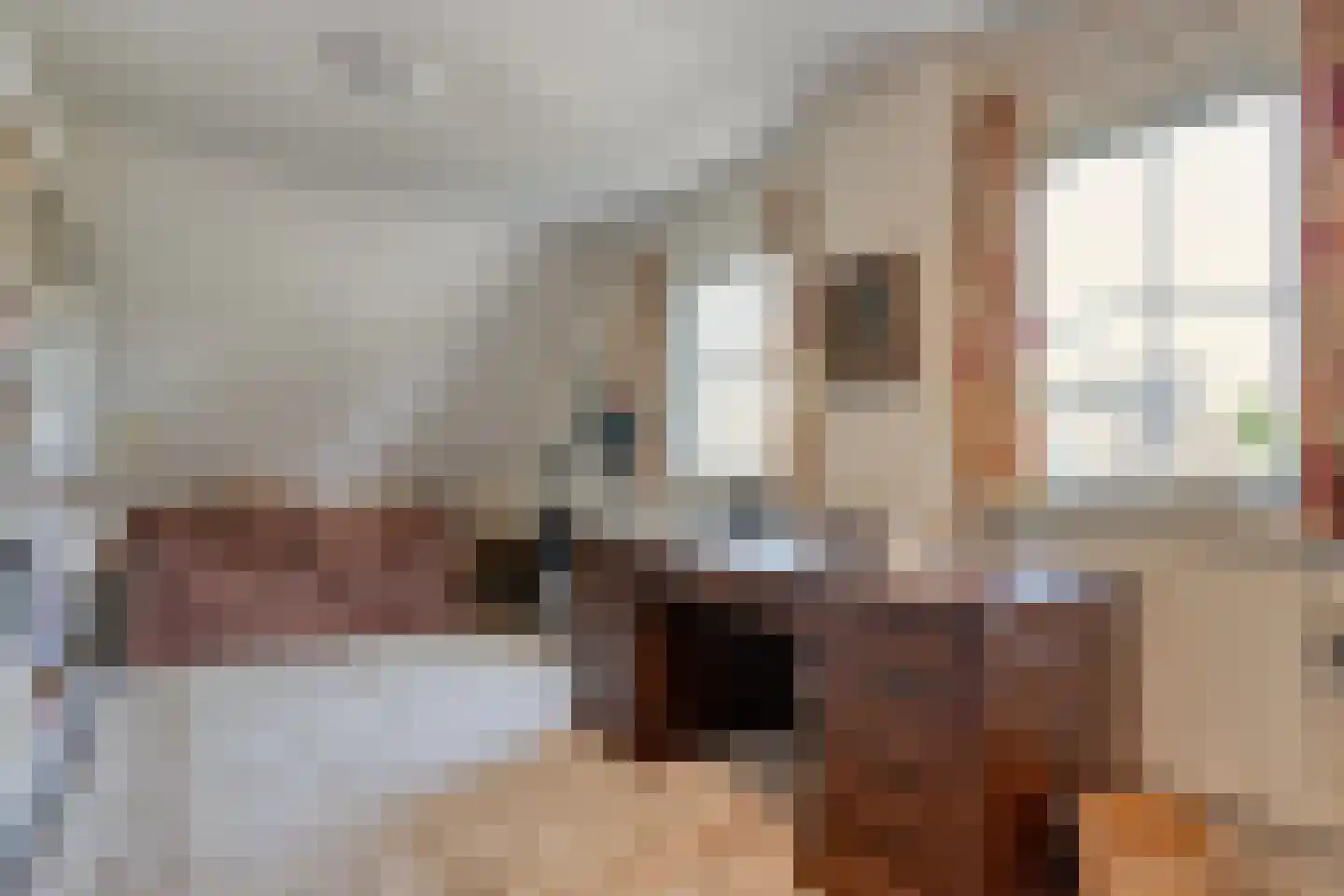 Goudplevier 2 Raalte thumbnail 43