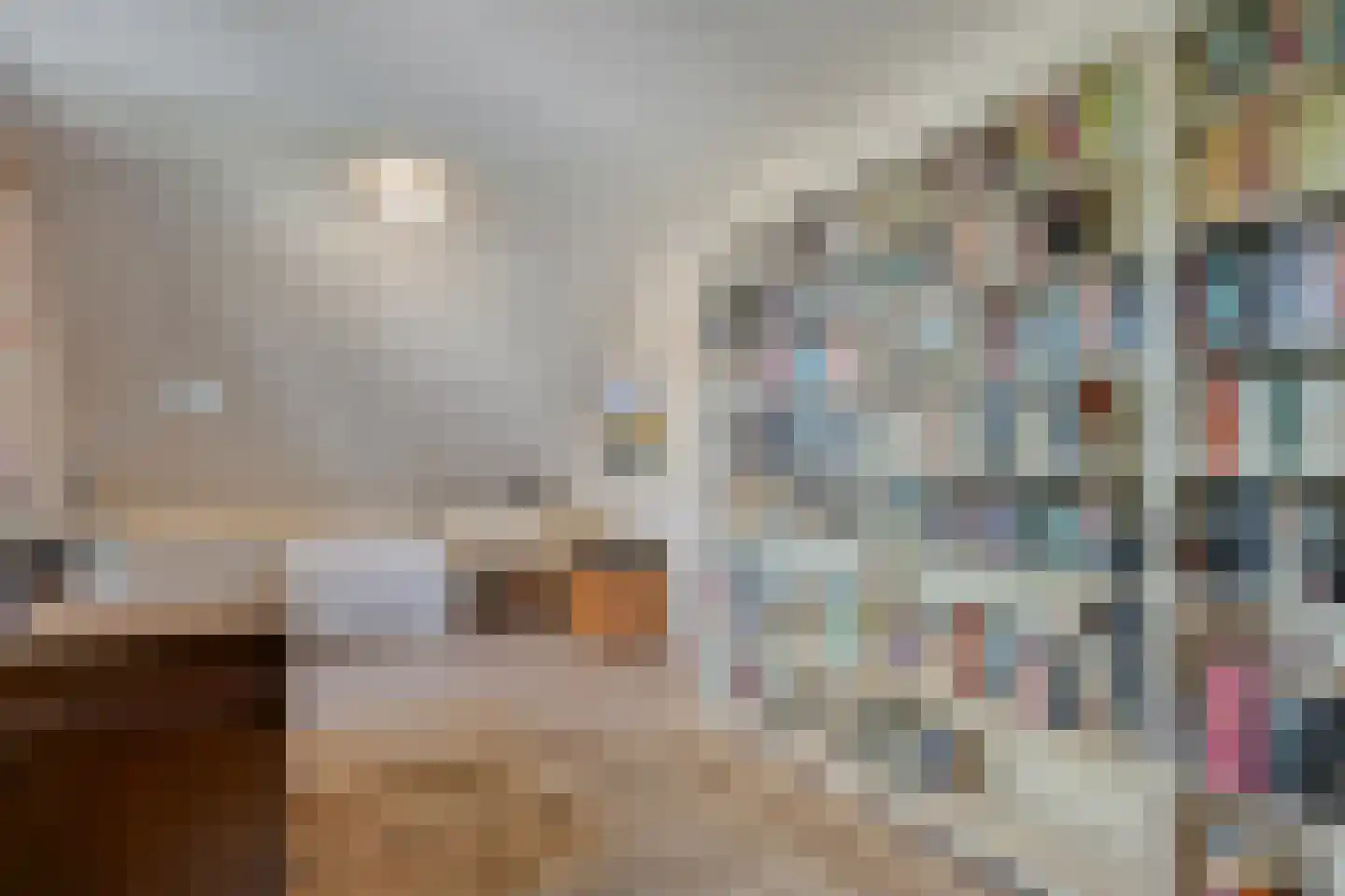Goudplevier 2 Raalte thumbnail 44