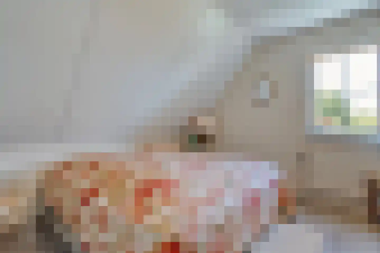 Goudplevier 2 Raalte thumbnail 45