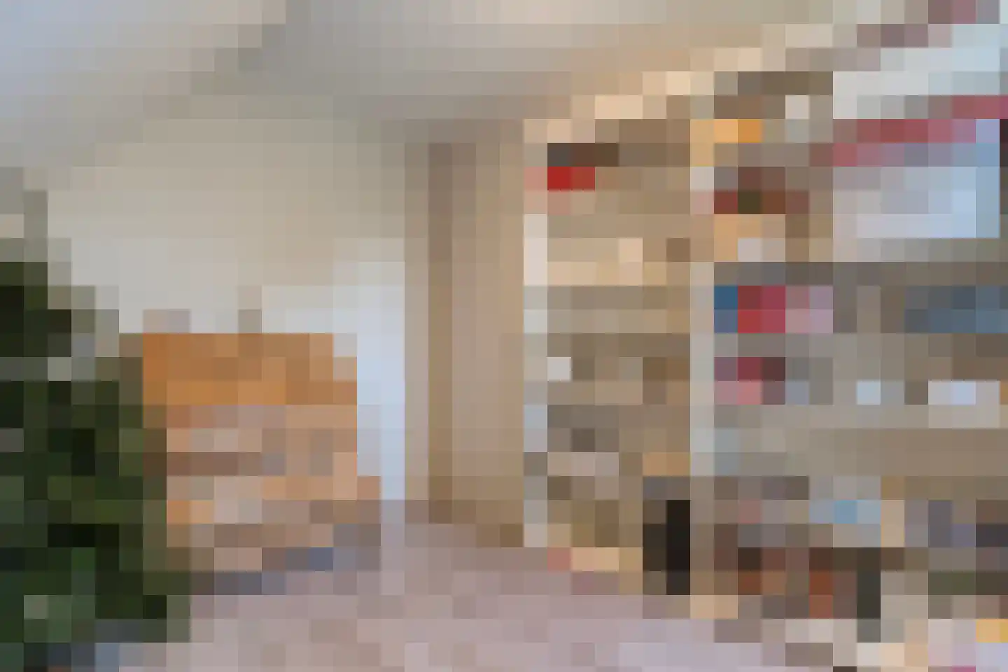 Goudplevier 2 Raalte thumbnail 48