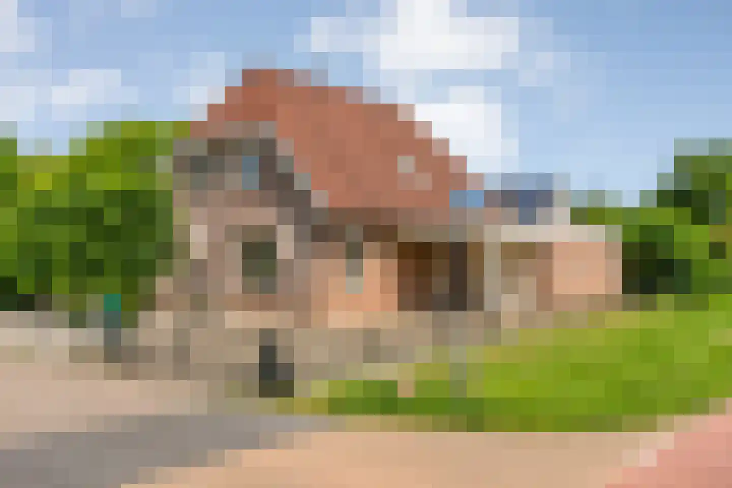 Goudplevier 2 Raalte thumbnail 5