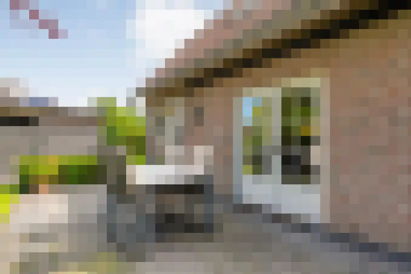 Goudplevier 2 Raalte thumbnail 51