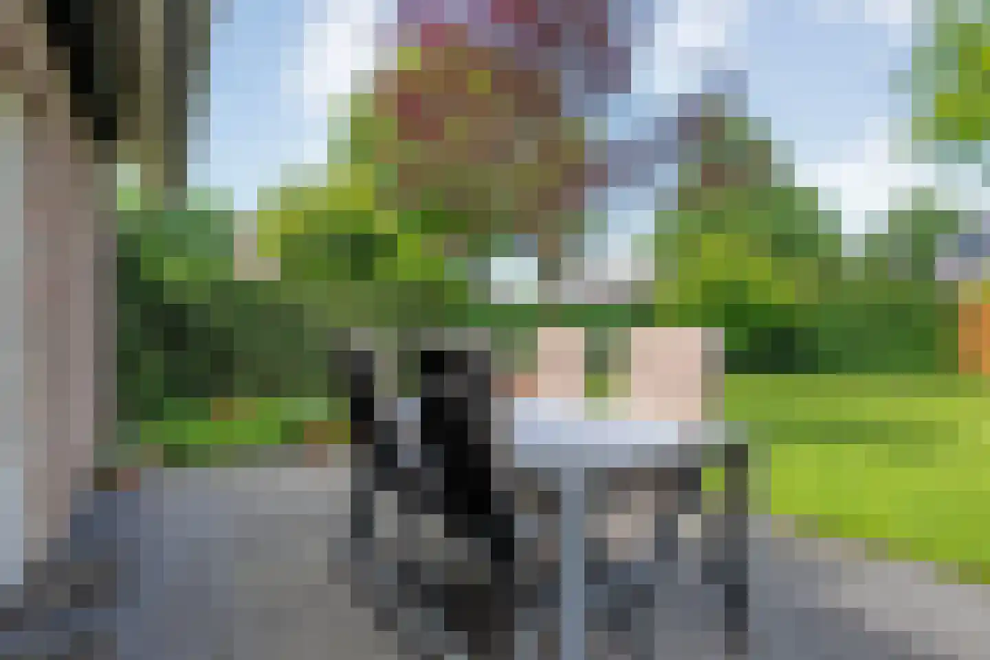 Goudplevier 2 Raalte thumbnail 52