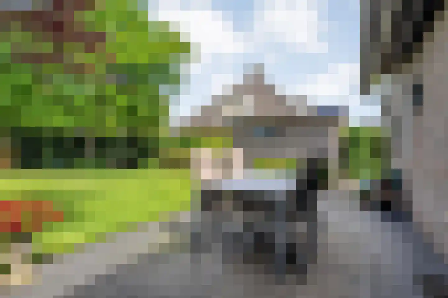 Goudplevier 2 Raalte thumbnail 53