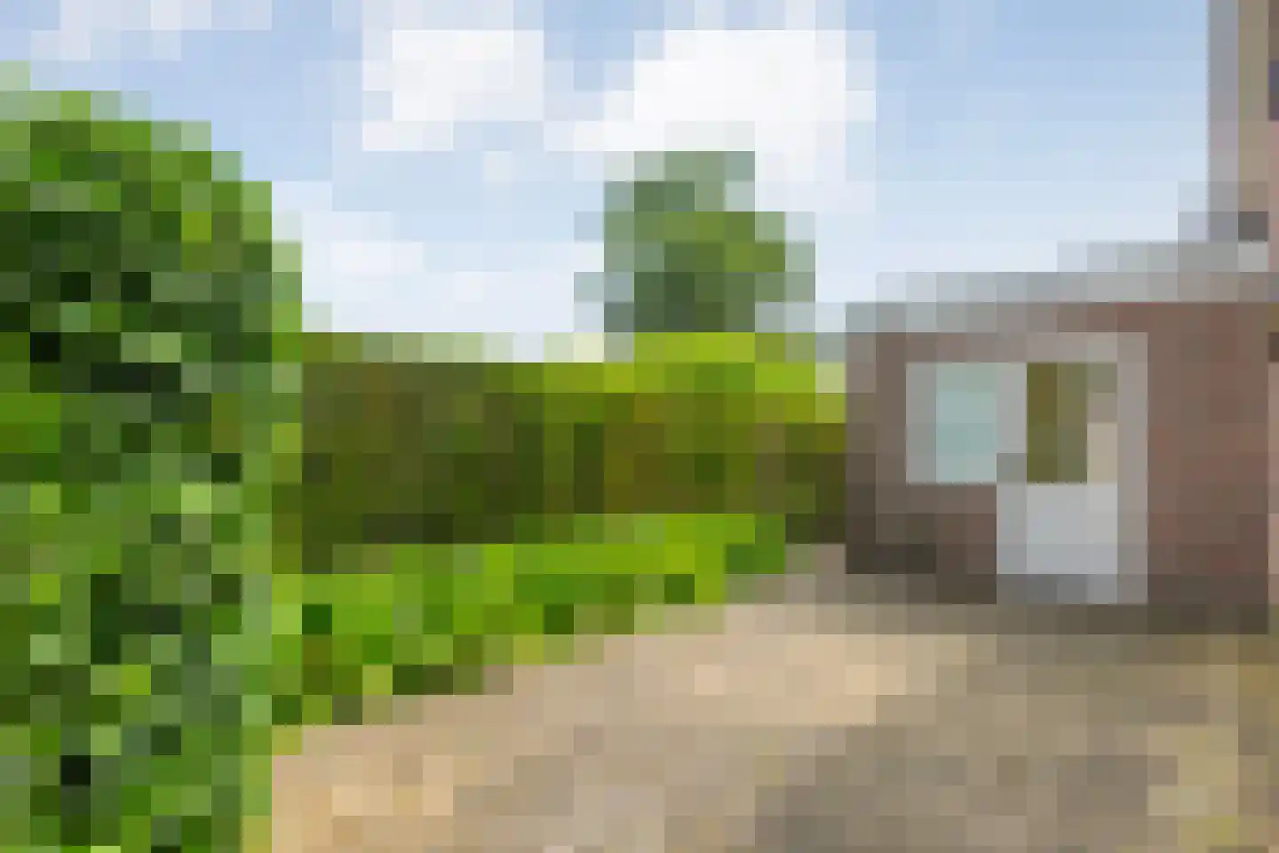 Goudplevier 2 Raalte thumbnail 54