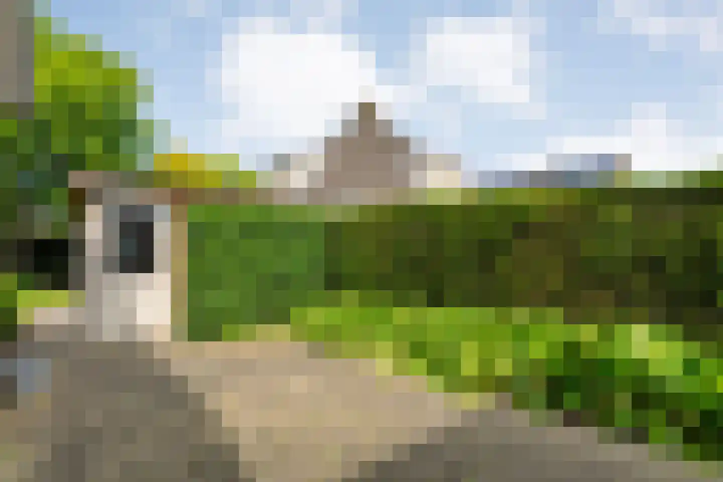 Goudplevier 2 Raalte thumbnail 55