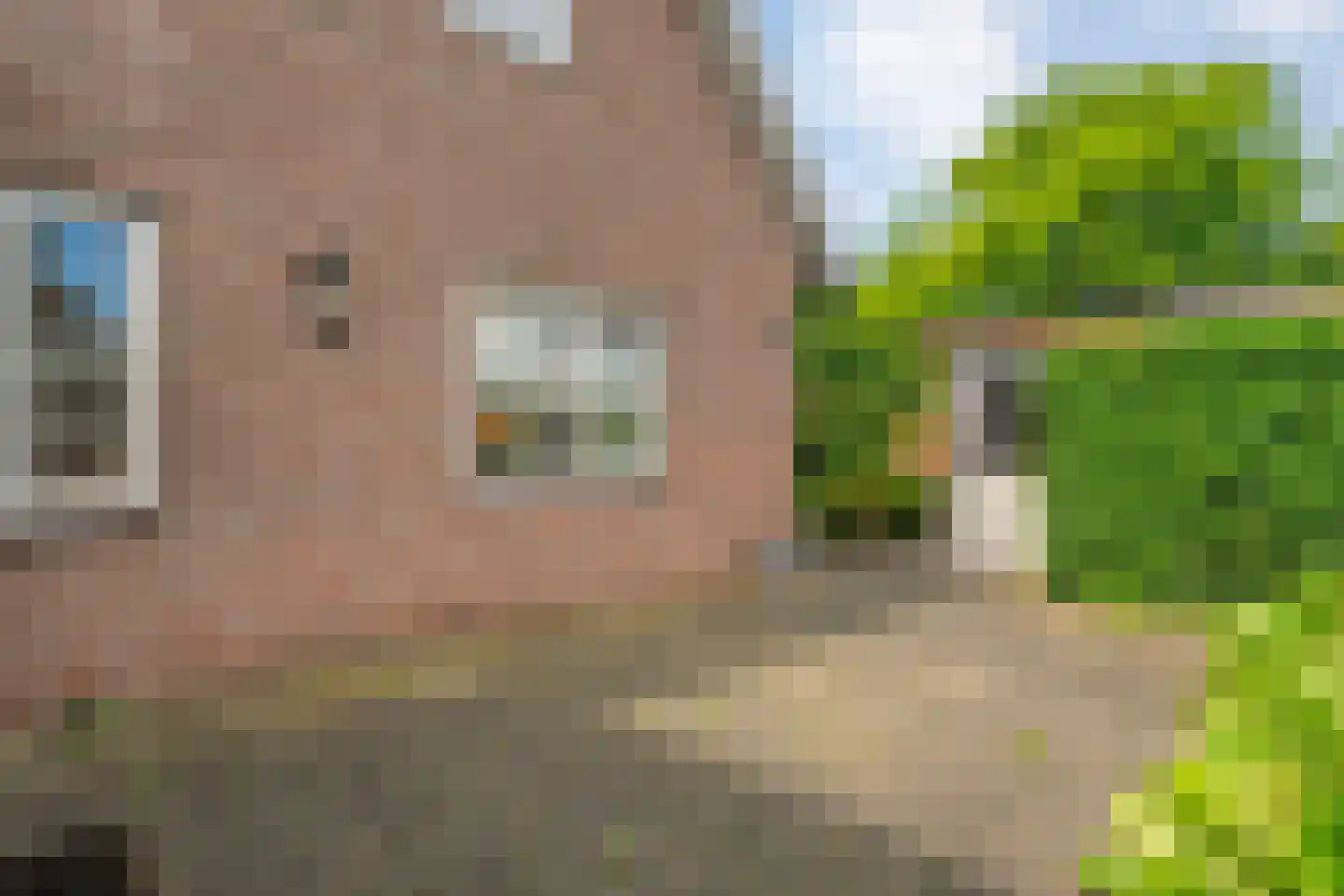 Goudplevier 2 Raalte thumbnail 56