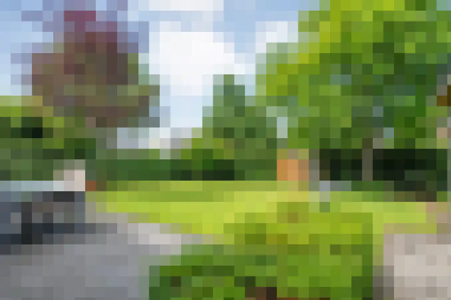 Goudplevier 2 Raalte thumbnail 57