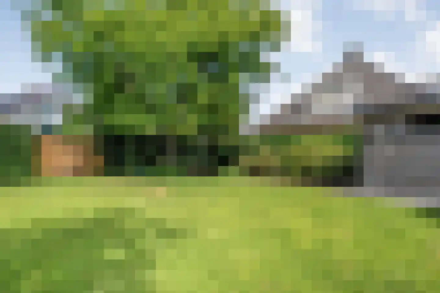 Goudplevier 2 Raalte thumbnail 59