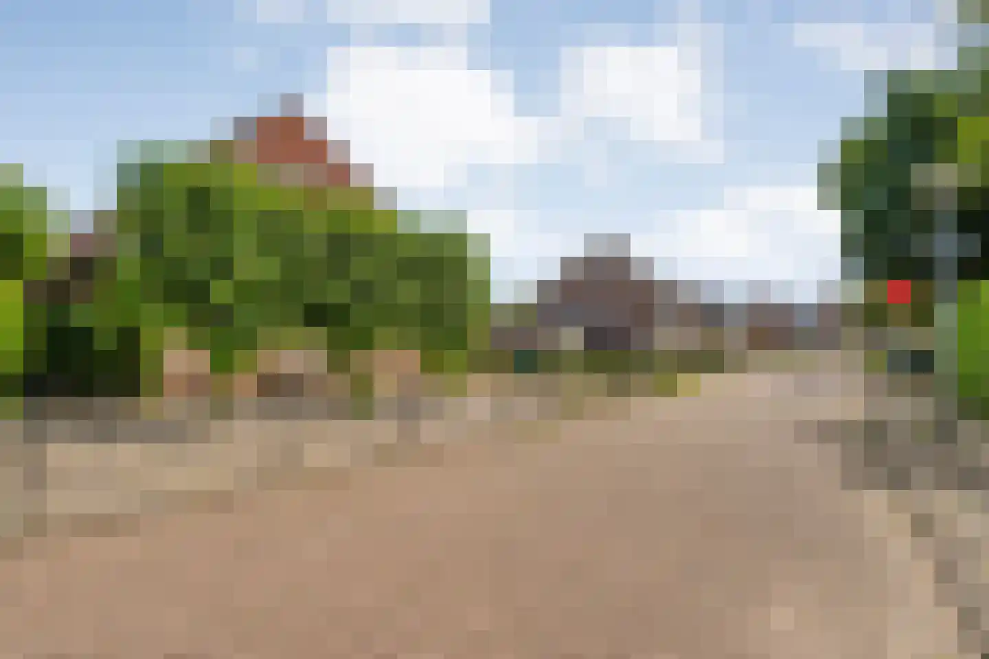 Goudplevier 2 Raalte thumbnail 6