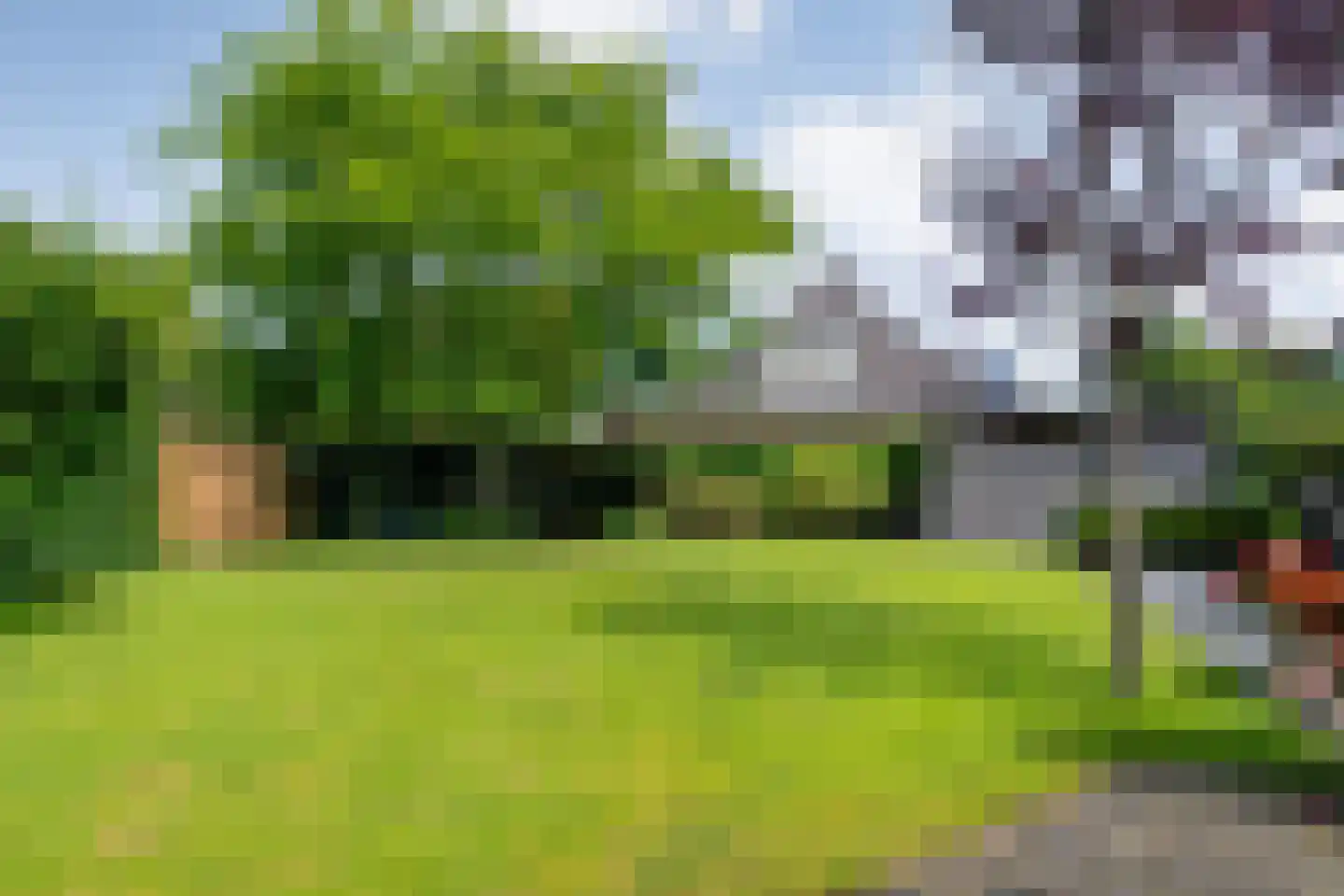 Goudplevier 2 Raalte thumbnail 60