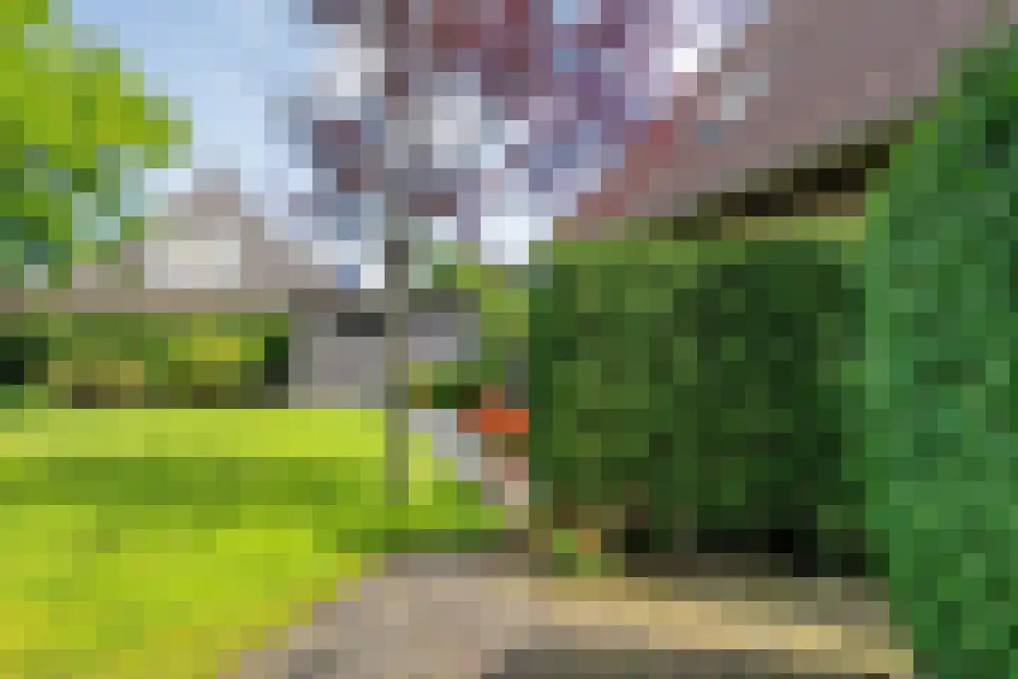 Goudplevier 2 Raalte thumbnail 61
