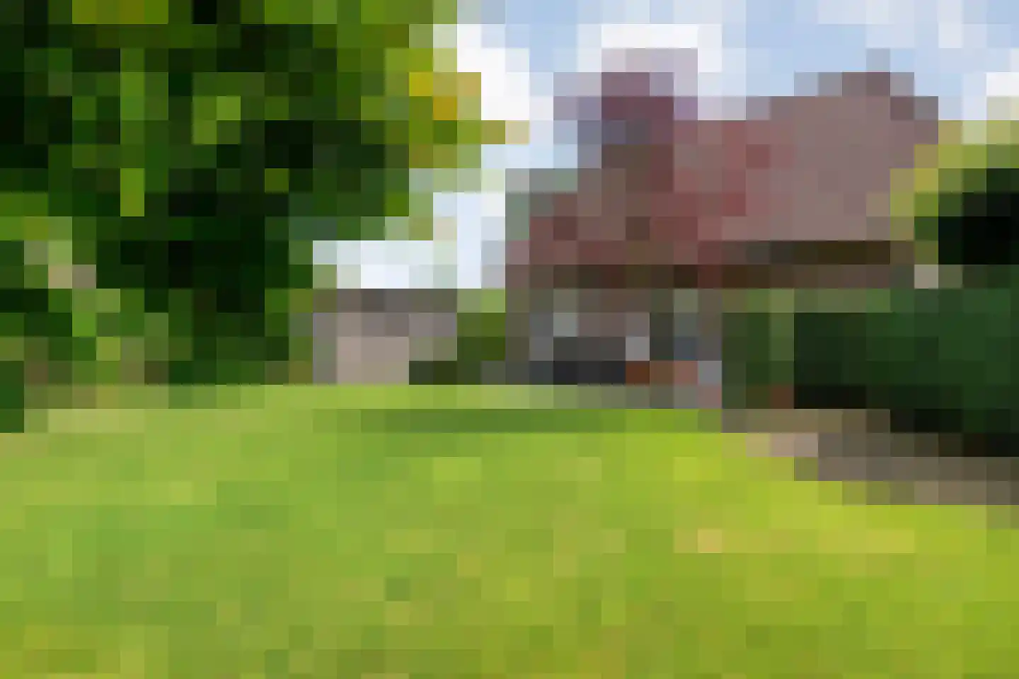 Goudplevier 2 Raalte thumbnail 62